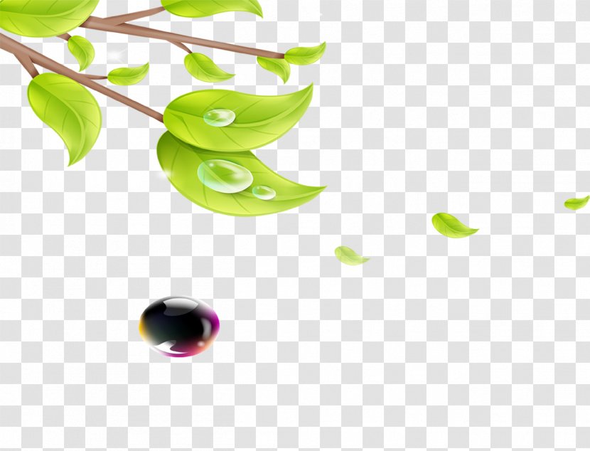 Icon - Plot - Water Droplets On The Leaves Falling Transparent PNG