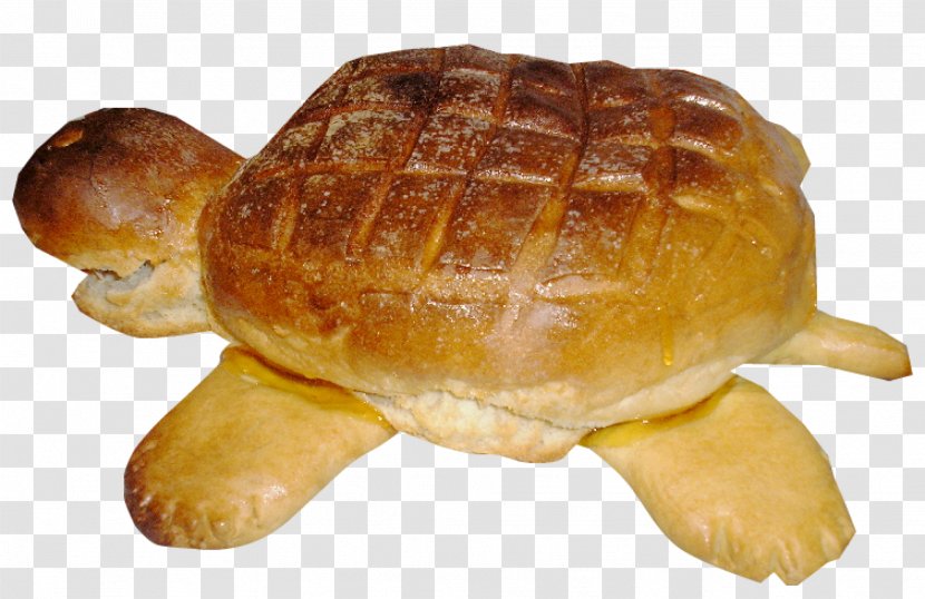 Bun Croissant Tortoise Transparent PNG