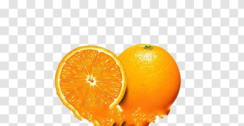Orange Juice Fruit Lemon - Citron Transparent PNG