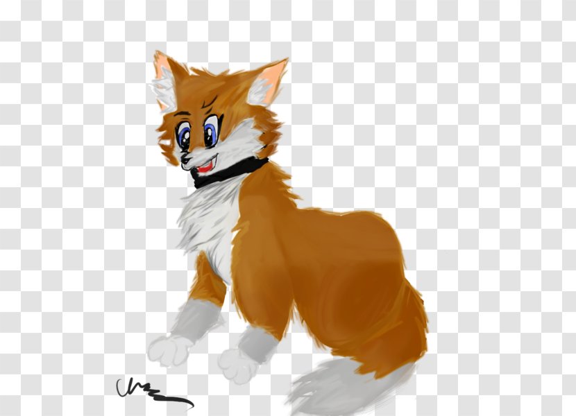 Cat Red Fox Whiskers Mammal - Like - Realism Transparent PNG