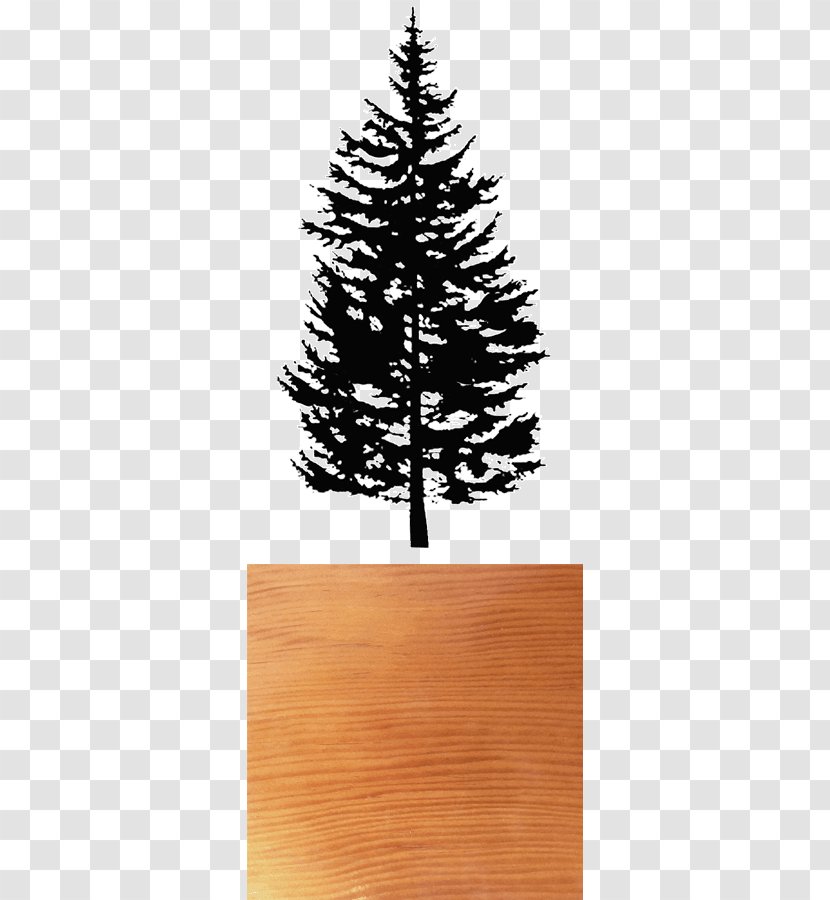 Spruce Fir Pine Clip Art Drawing - Silhouette - Douglas Transparent PNG