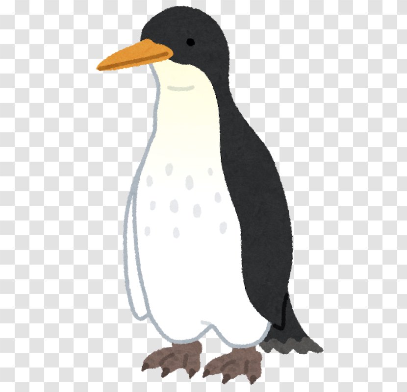 Penguin Antarctica Anthropornis いらすとや - Child Transparent PNG
