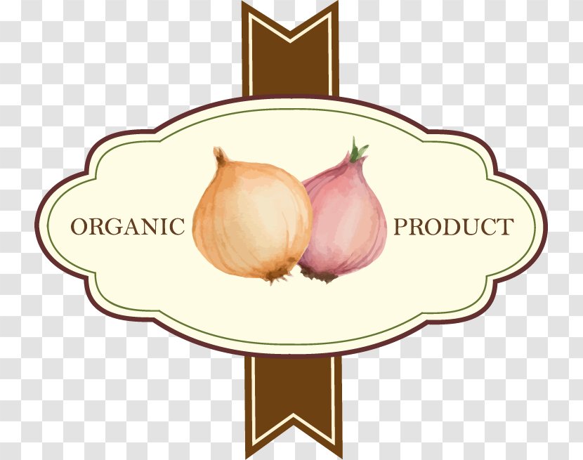 Vegetable Fruit Onion Label - Pattern Painted Streamers Transparent PNG