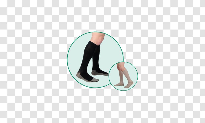 Shoe Size Knee Length Foot - Heart - Riad Transparent PNG