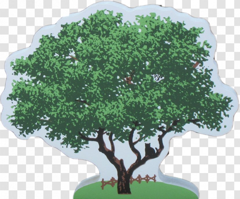 Tree Oak Sageretia Theezans Shrub Cat - Plant Transparent PNG