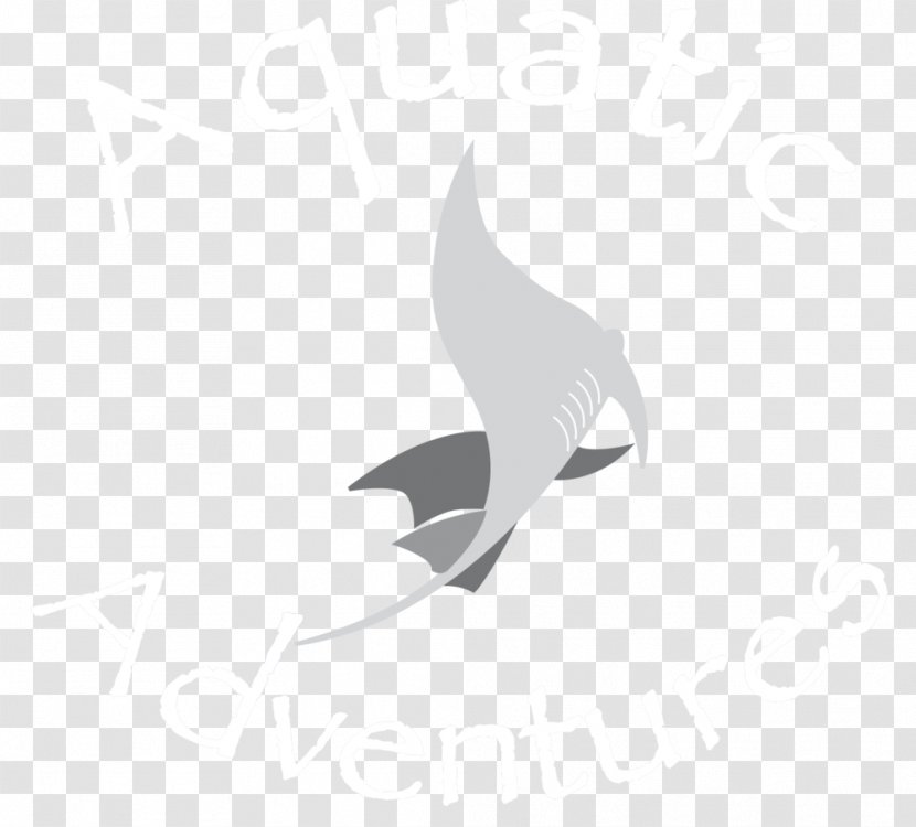 Beak White Water Bird Marine Mammal - Wing Transparent PNG