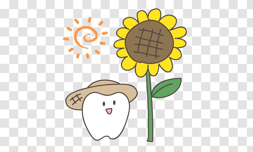 Common Sunflower Dentistry Clip Art - Flora - Orthodontic Transparent PNG
