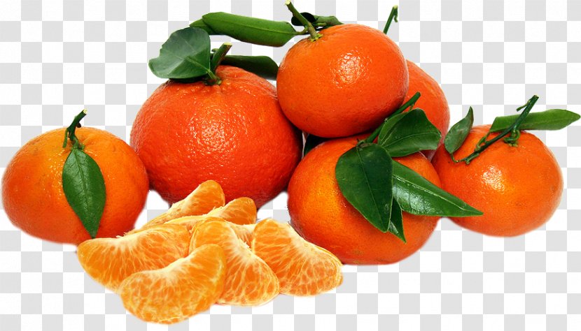 Tangerine Mandarin Orange Murcott Ripening - Rutaceae Transparent PNG