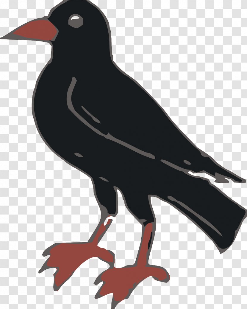 Common Raven Crow Clip Art - Free Content - Black Transparent PNG