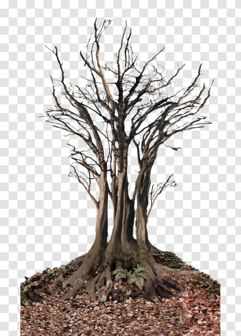 Tree Snag Root Clip Art - Landscape Transparent PNG