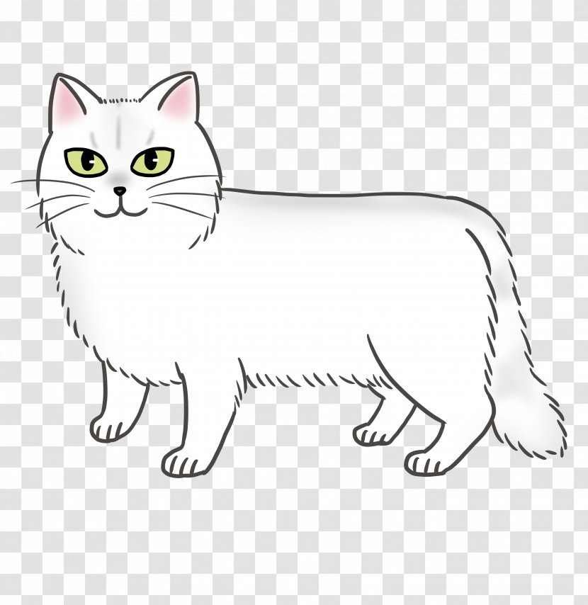 Kitten Whiskers Domestic Short-haired Cat Ragdoll Abyssinian - Mammal Transparent PNG