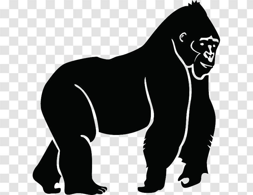 Gorilla Ape Chimpanzee Silhouette Clip Art - Big Cats Transparent PNG