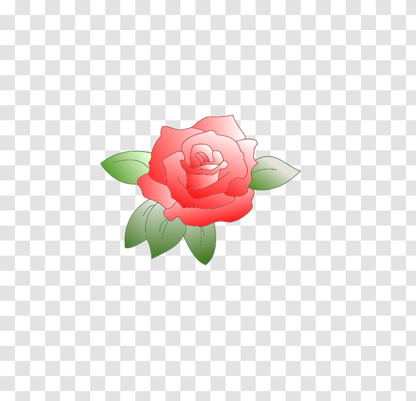 Rose Clip Art - Drawing - Small Cliparts Transparent PNG