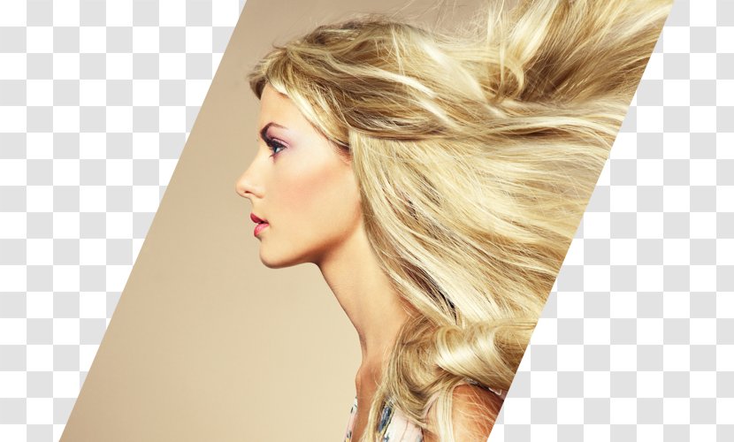 Hairstyle Beauty Parlour Hair Care Hairdresser Transparent PNG