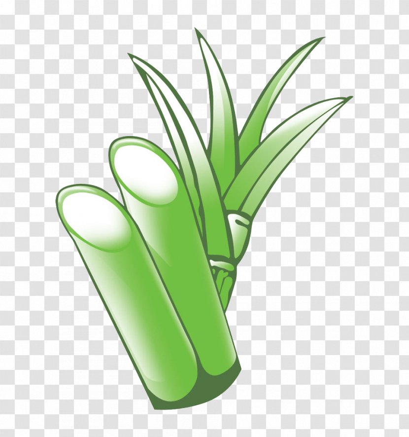 Bamboo Bamboe Download - Plant - Green Transparent PNG