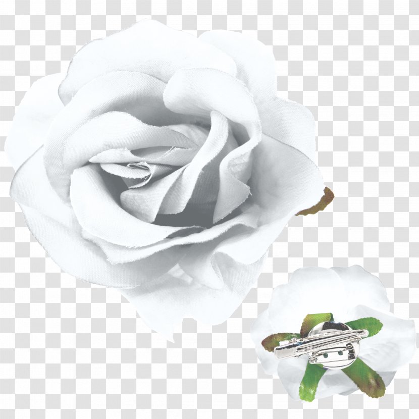 Garden Roses Cut Flowers Petal - White - Rose Transparent PNG