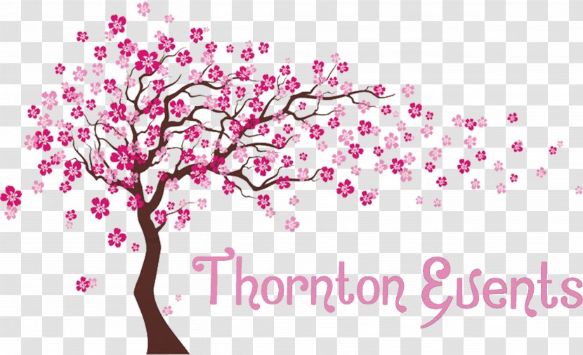 Cherry Blossom - Plant - Flower Tree Transparent PNG