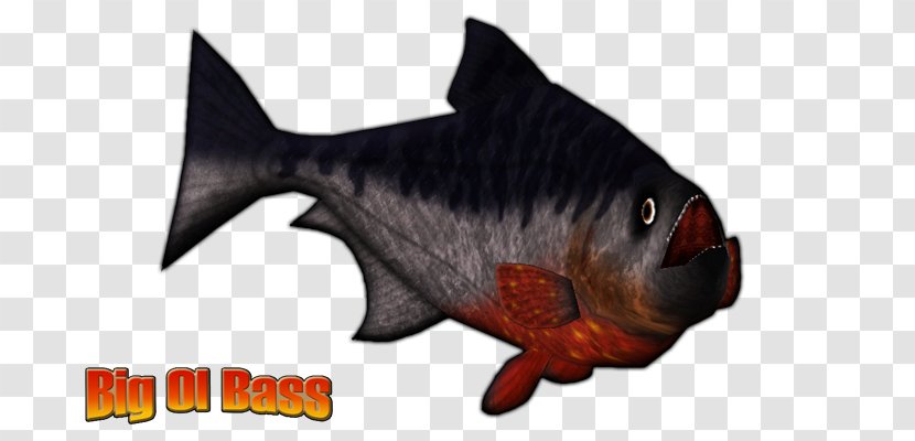 Zoo Tycoon 2 DeviantArt Piranha - Snout Transparent PNG