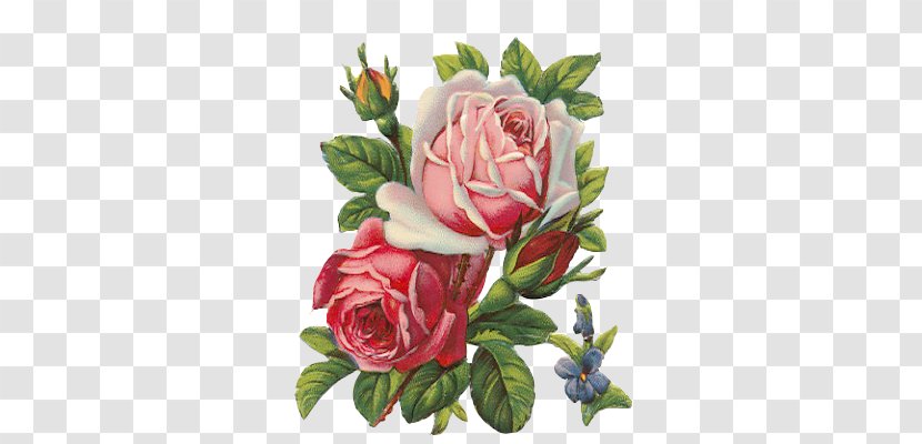 Paper Decoupage Rose Art YouTube - Pink Transparent PNG