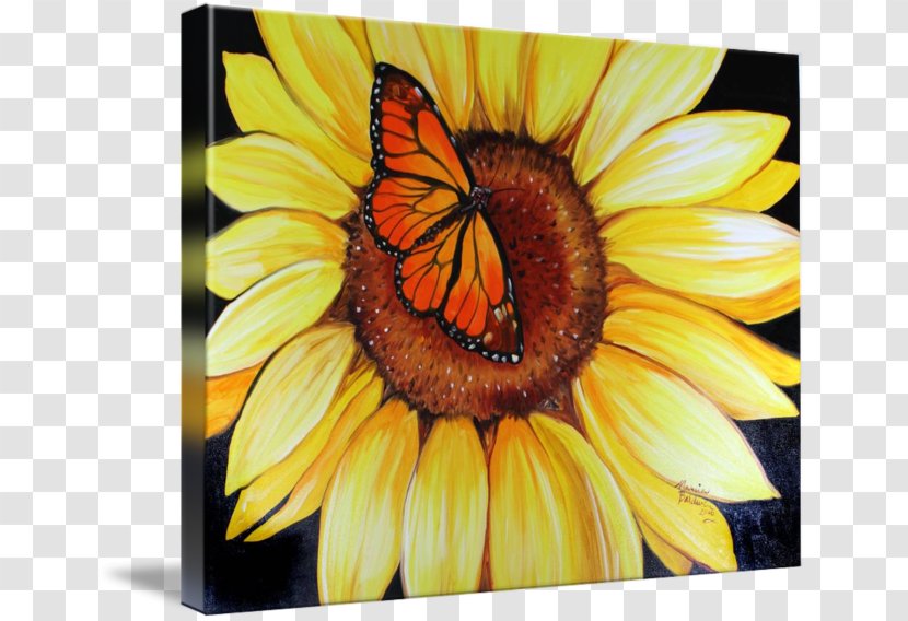 Monarch Butterfly Common Sunflower Insect - Flower - Watercolor Transparent PNG