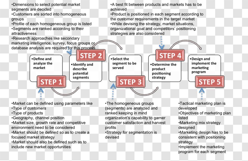 Organization Font - Market Segmentation Transparent PNG