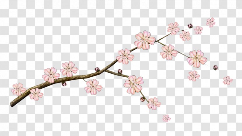 Cherry Blossom Tree - Jewellery Plant Transparent PNG