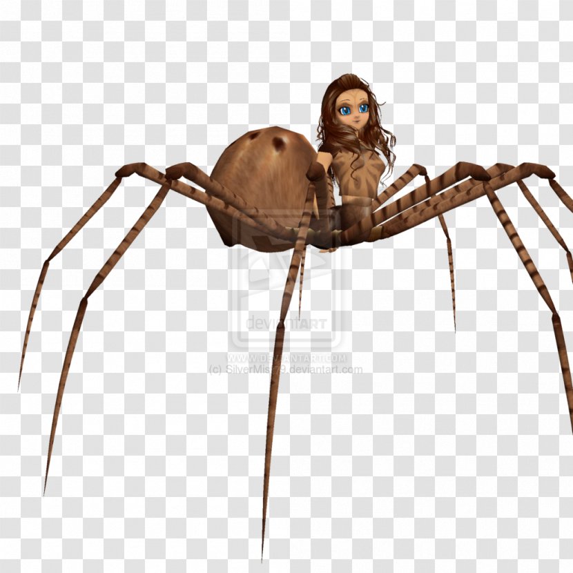 Angulate Orbweavers Video Game Development Widow Spiders - Orb Weaver Spider - Wolf Transparent PNG