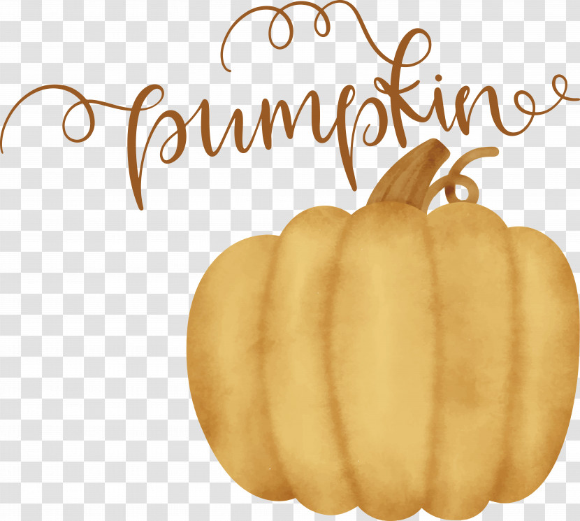 Pumpkin Transparent PNG