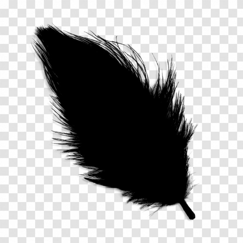 Feather Black M - Fur Transparent PNG