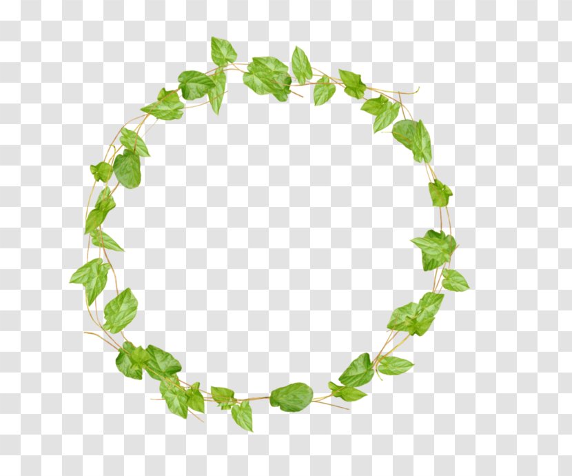 Vine Clip Art - Green - Leaf Transparent PNG