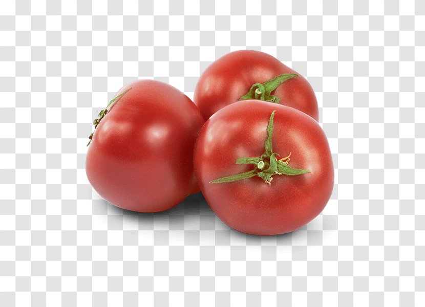 Plum Tomato Bush Vegetable Food Cherry - Superfood Transparent PNG