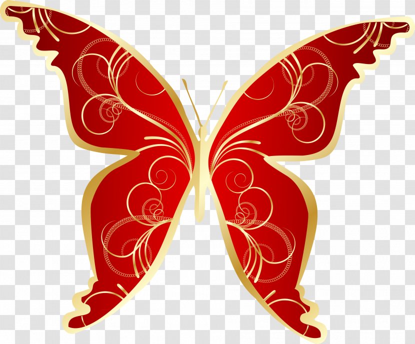 Butterfly Animation Clip Art - Symmetry Transparent PNG