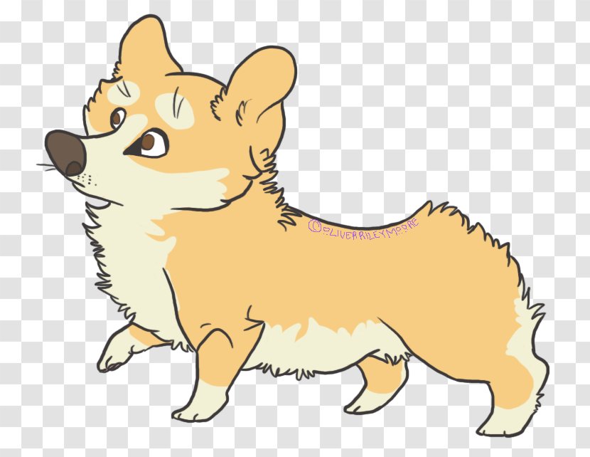 Whiskers Puppy Dog Breed Cat Red Fox Transparent PNG
