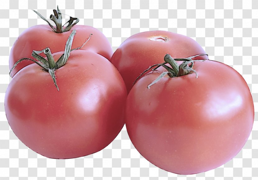 Tomato - Bush - Nightshade Family Food Transparent PNG