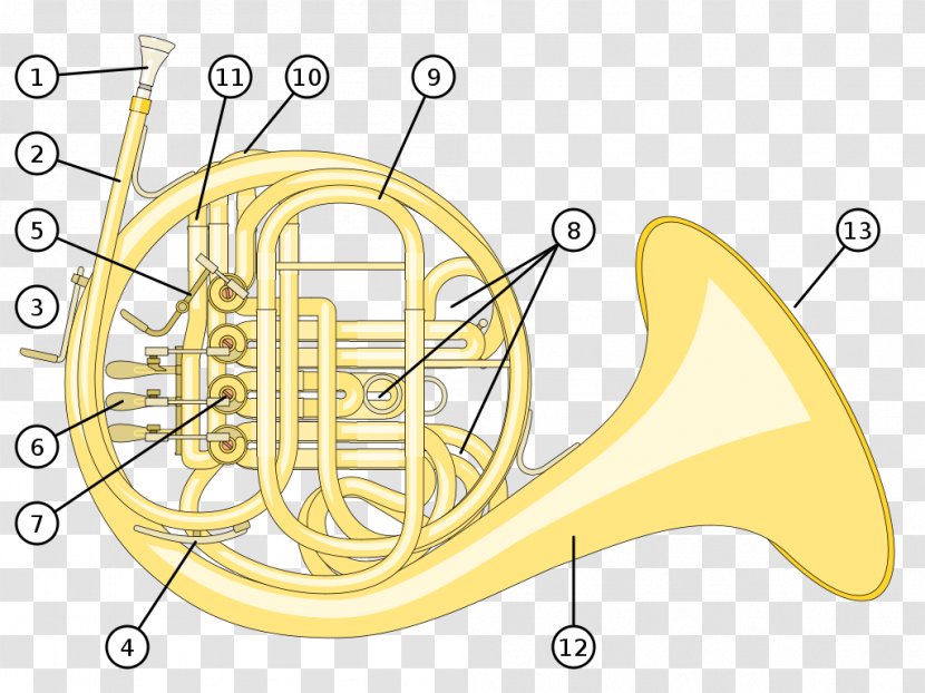 French Horns Natural Horn Musical Instruments Brass German - Cartoon Transparent PNG