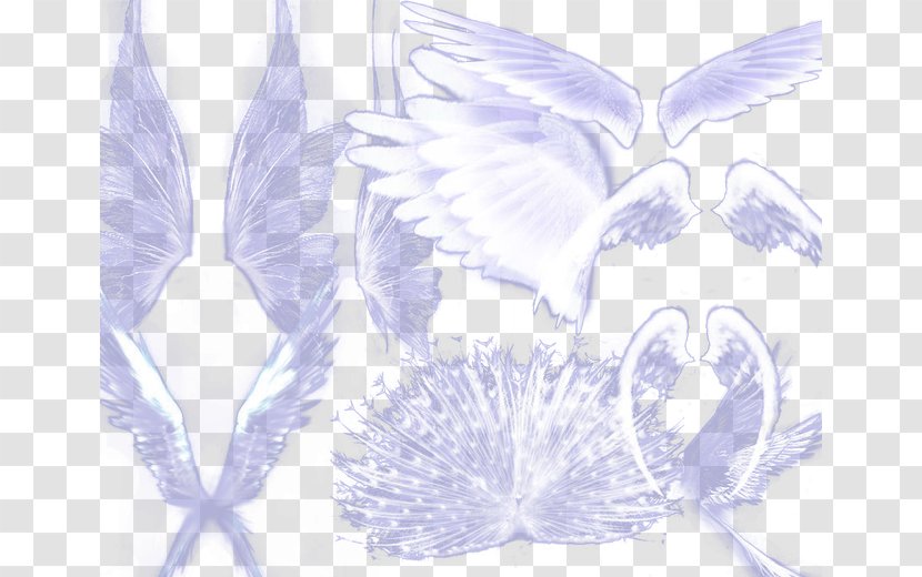 Mu Online Pattern - Lavender - Angel Wings Transparent PNG