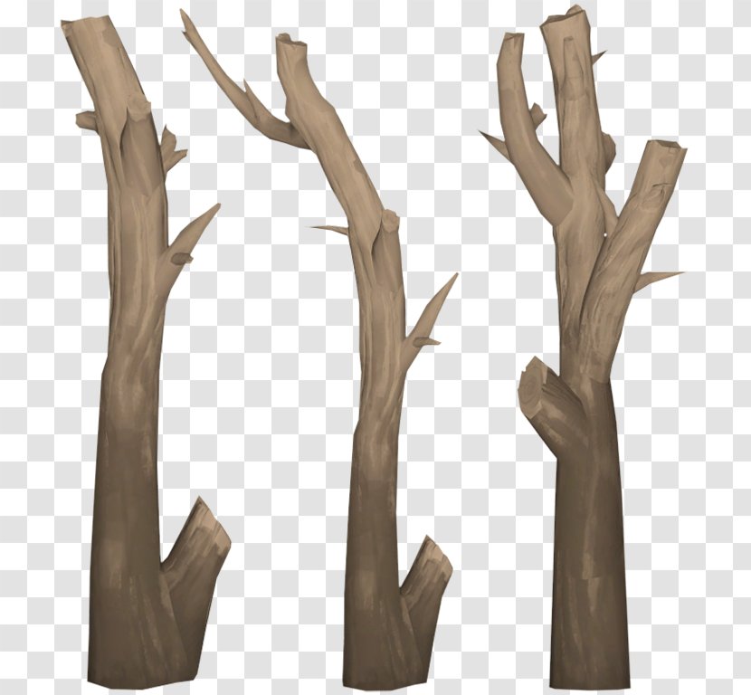 Wood Table Wave Breaker: The Rescue Coaster Tree /m/083vt - Branch Transparent PNG