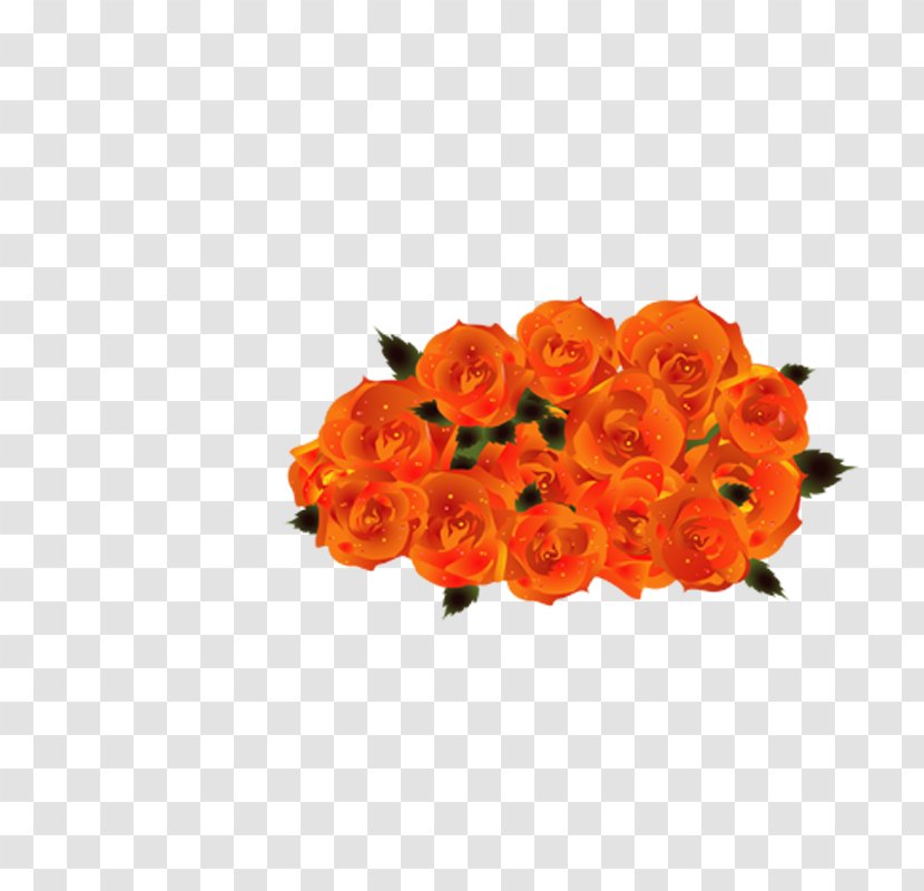 Beach Rose Flower Bouquet Clip Art - Garden Roses Transparent PNG
