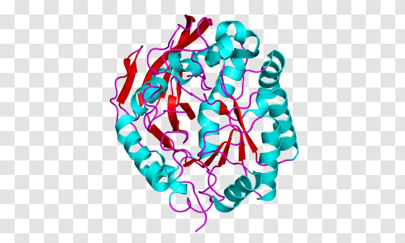 CAD Protein Carbamoyl Phosphate Synthase II Dihydroorotase Enzyme - Silhouette - Flower Transparent PNG