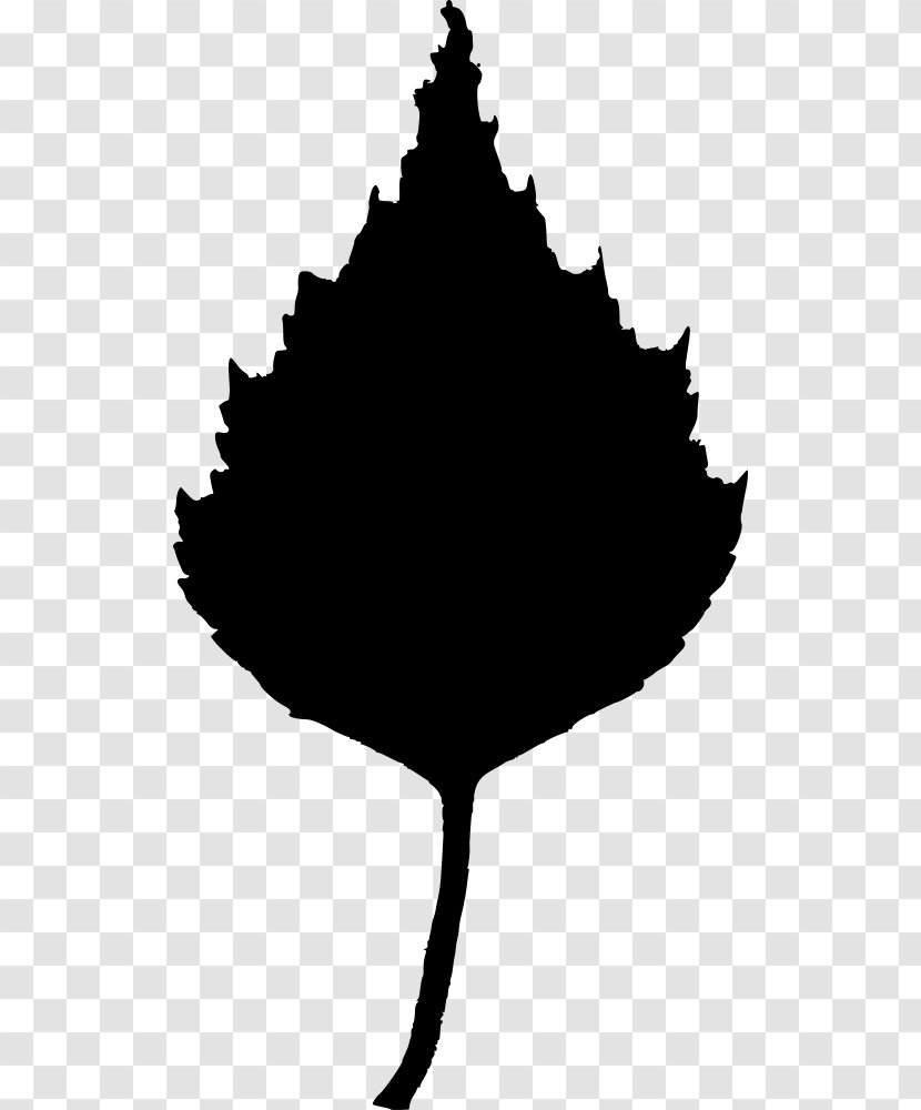 Leaf Tree Clip Art - Drawing Transparent PNG