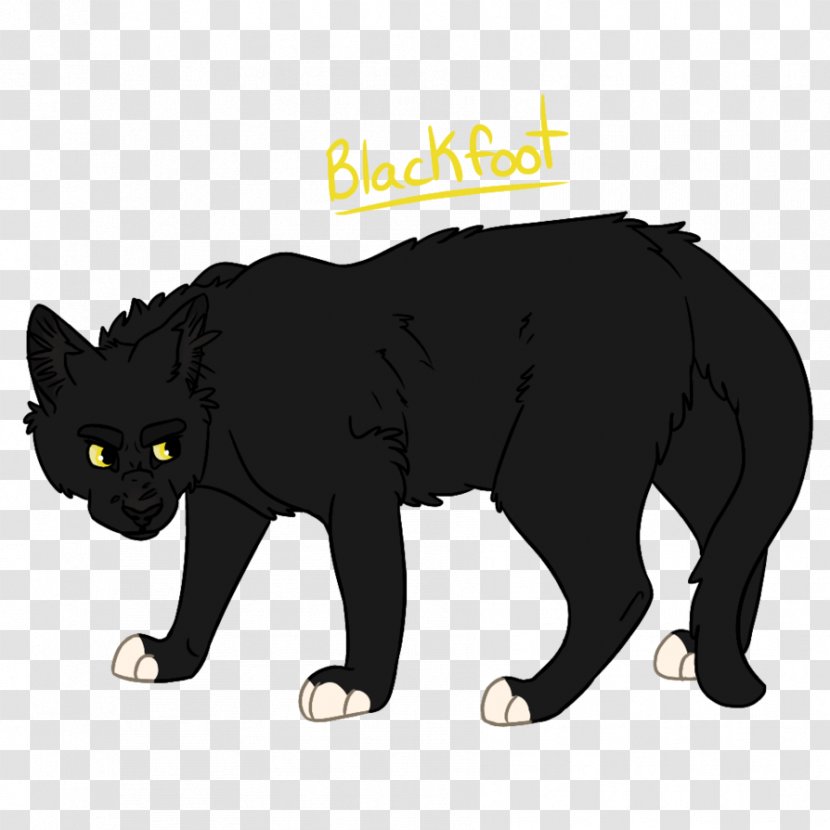 Black Cat Manx Whiskers Domestic Short-haired Into The Wild - Book Transparent PNG