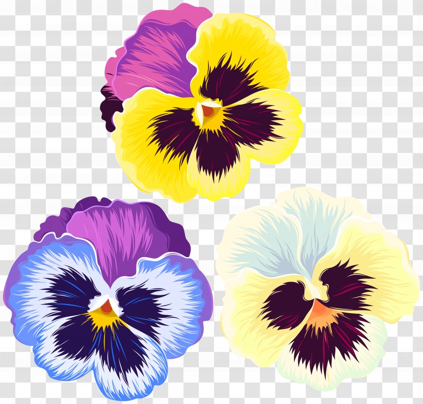 Clip Art - Purple - Violets Transparent PNG