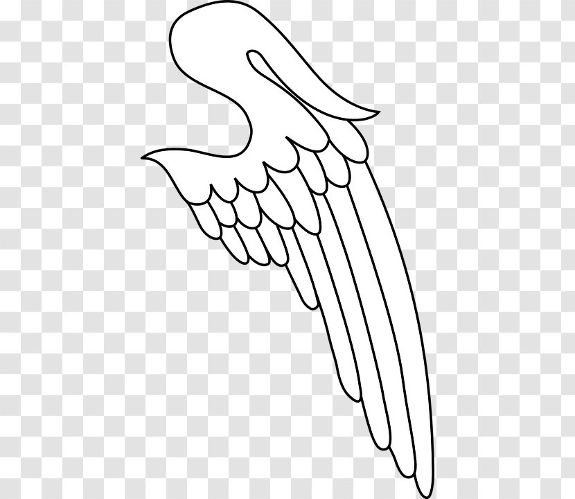 Clip Art Thumb /m/02csf Drawing Beak - White - Logo Super Wings Transparent PNG