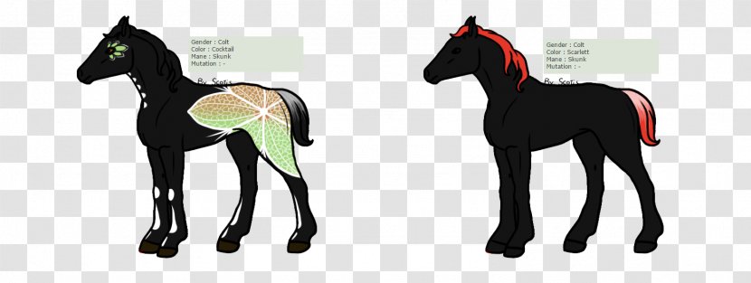 Mustang Foal Pony Stallion - Horse Tack Transparent PNG