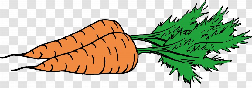 Carrot Orange Illustration - Design Transparent PNG