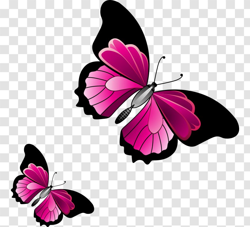 Monarch Butterfly Clip Art - Insect Transparent PNG