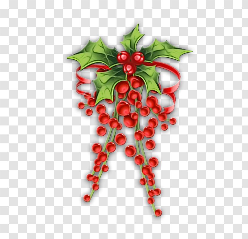Holly - Tree - Holiday Ornament Fruit Transparent PNG