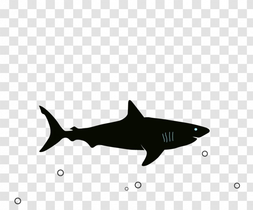 Great White Shark Megalodon Image Blue - Jaws Transparent PNG