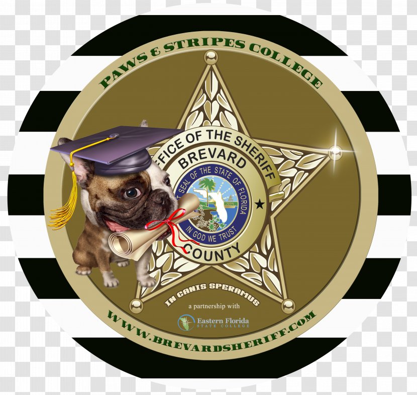 Brevard County Sheriff's Office Blount County, Tennessee Eastern Florida State College Organization - Sheriff Transparent PNG
