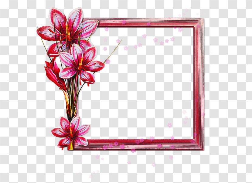 Pink Flower Frame - Petal - Plant Transparent PNG